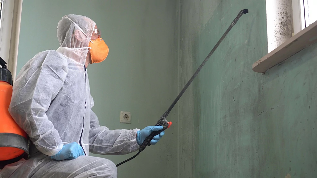 Schimmelpilzbekämpfung mit biologischem Wirkstoff, Maler sprüht in Schutzanzug und Maske